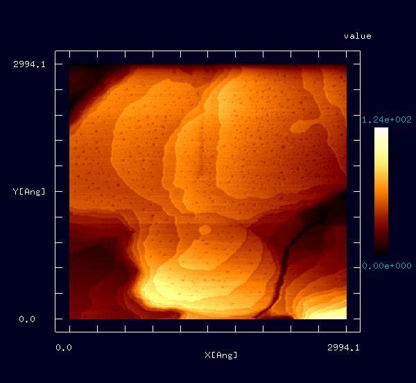 コントラスト調整後の画像